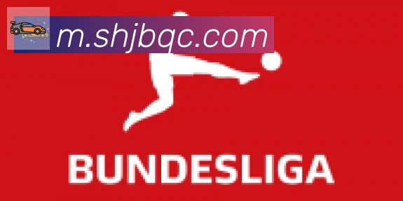 博亚官网合作伙伴